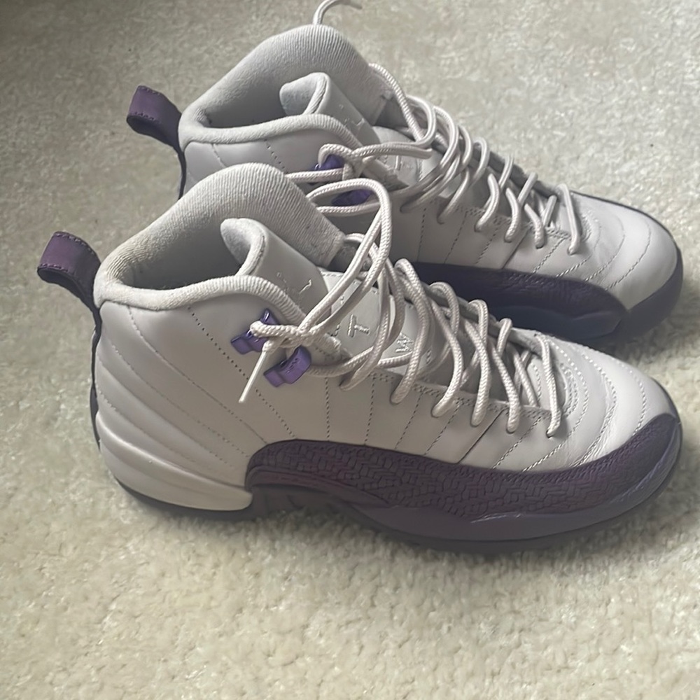 Nike Air Jordan Retro Desert Sand Pro Purple